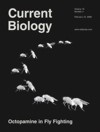Hoyer, S.C., A. Eckart, A. Herrel, T. Zars, S. Fischer, S.L. Hardie and M. Heisenberg (2008) Octopamine in male aggression of Drosophila. Curr. Biol. 18: 159-167.